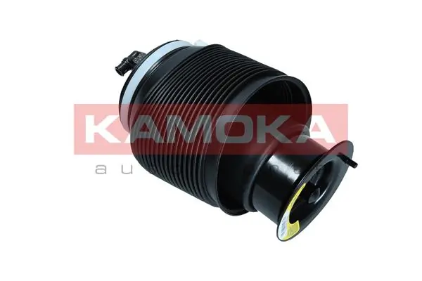 Air Spring, suspension 2079036