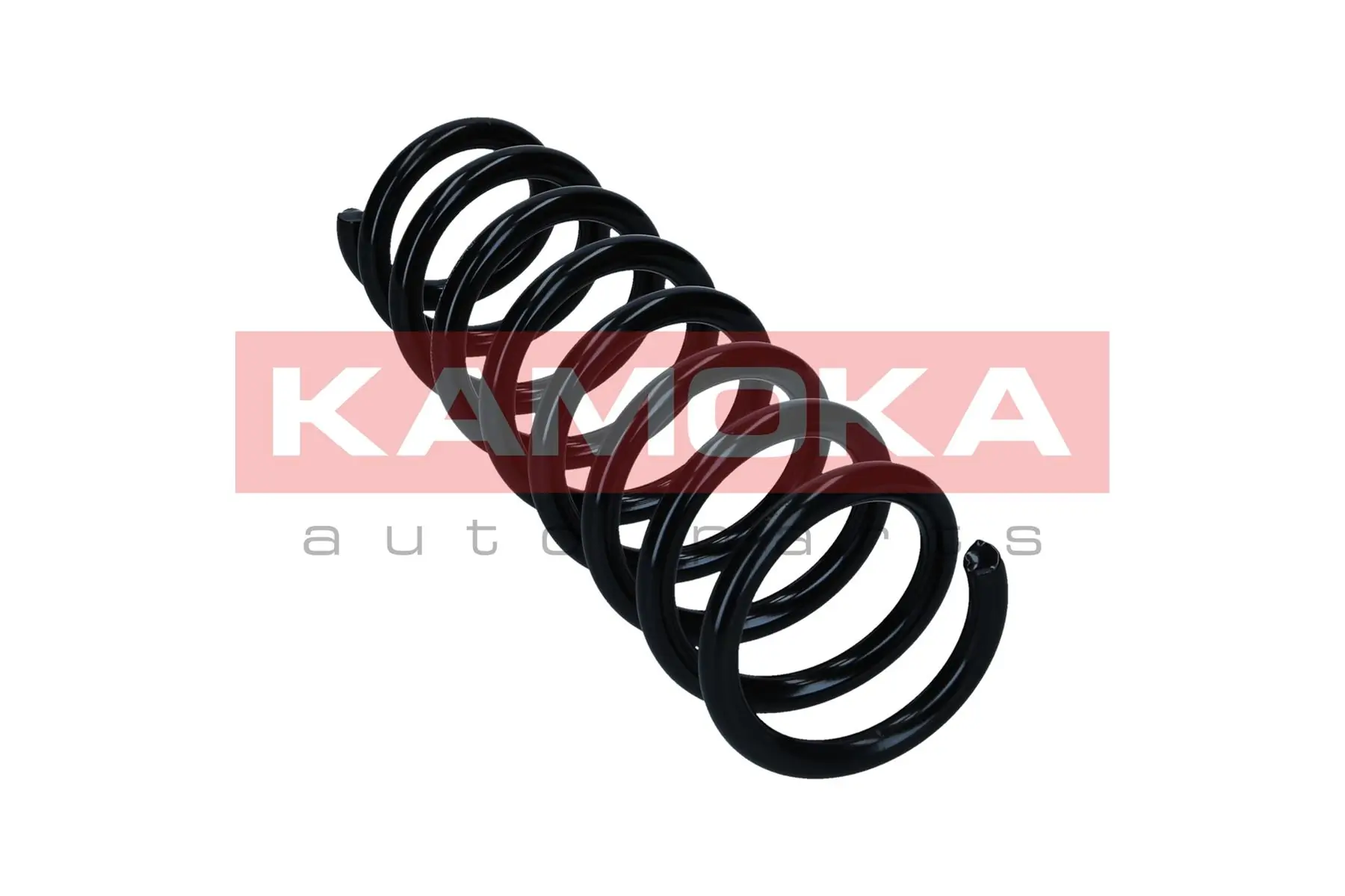 Suspension Spring 2120470