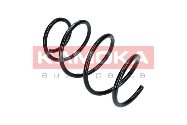 Suspension Spring 2110110