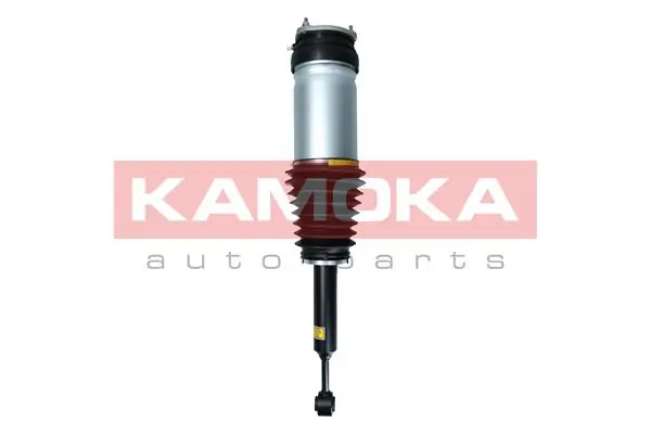Air Suspension Strut 2070008