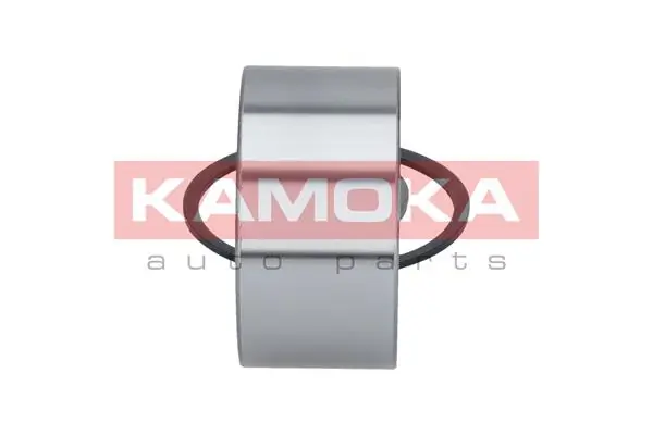 Wheel Bearing Kit 5600014
