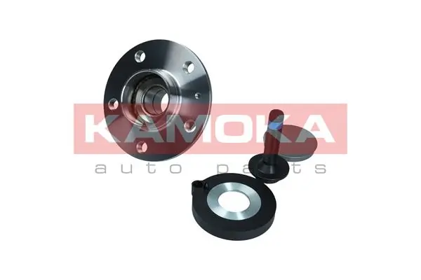 Wheel Bearing Kit 5500172
