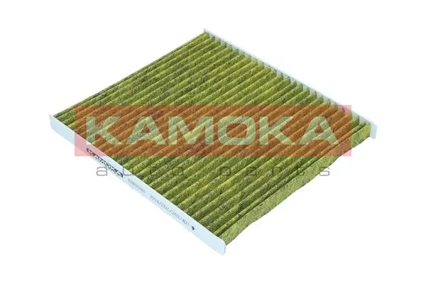 Filter, cabin air 6080134