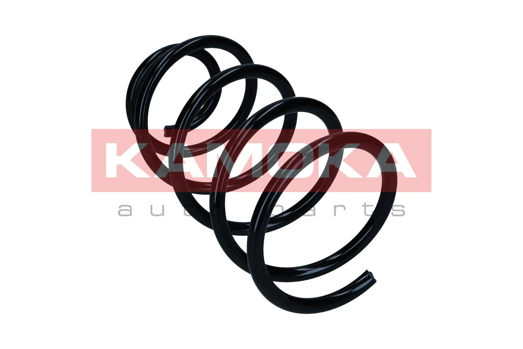 Suspension Spring 2110868