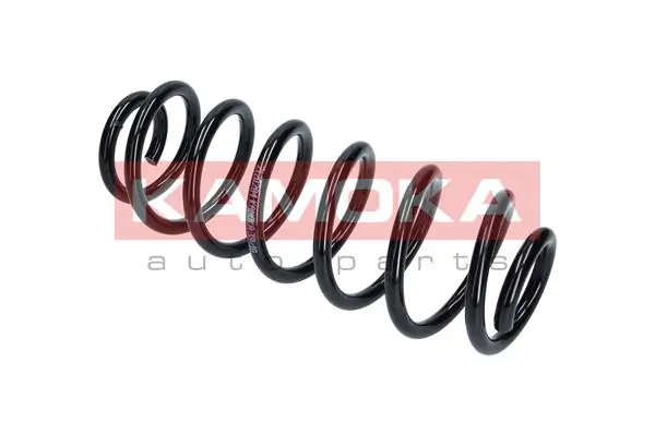 Suspension Spring 2120284