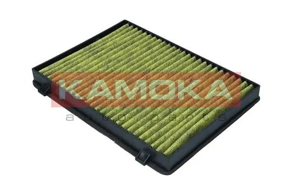 Filter, cabin air 6080119