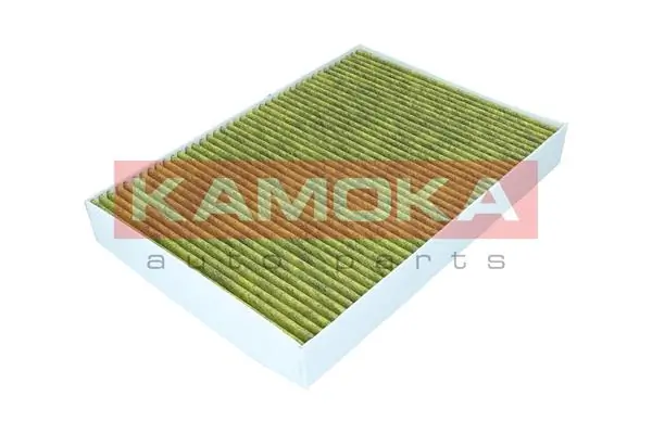 Filter, cabin air 6080077