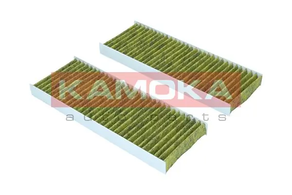 Filter, cabin air 6080123