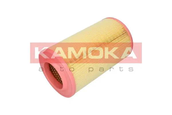 Air Filter F236301