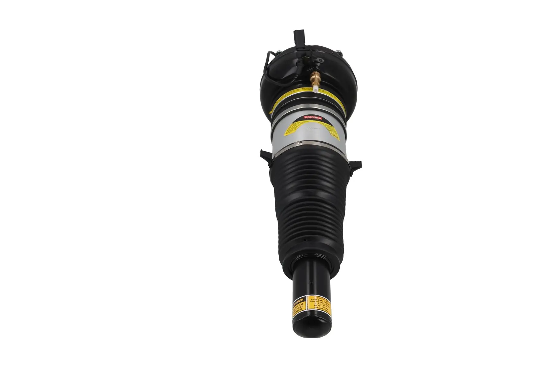 Air Suspension Strut 2070093