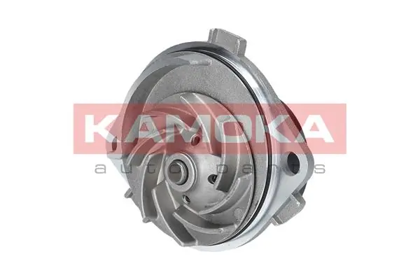Water Pump, engine cooling T0111