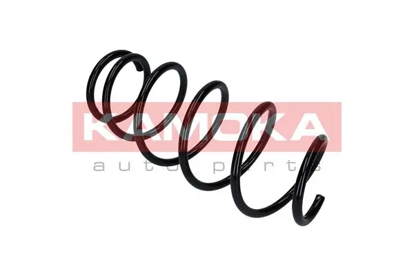 Suspension Spring 2110496