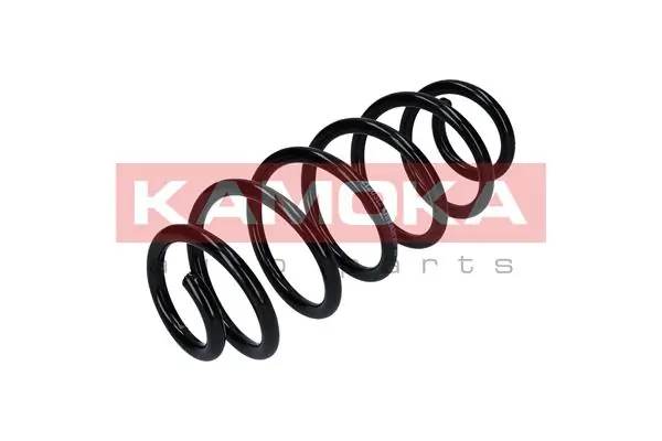 Suspension Spring 2120312