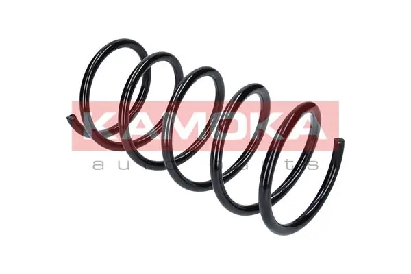 Suspension Spring 2110276