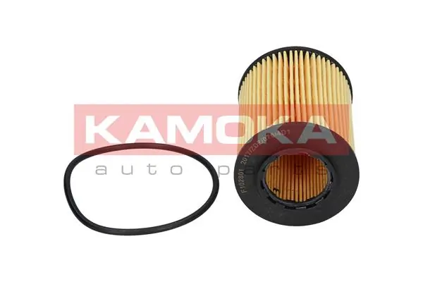 Oil Filter F102801