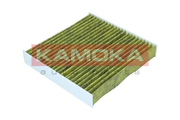 Filter, cabin air 6080076