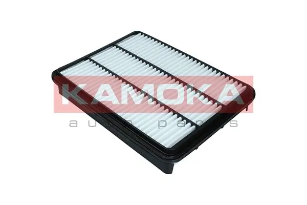 Air Filter F248701
