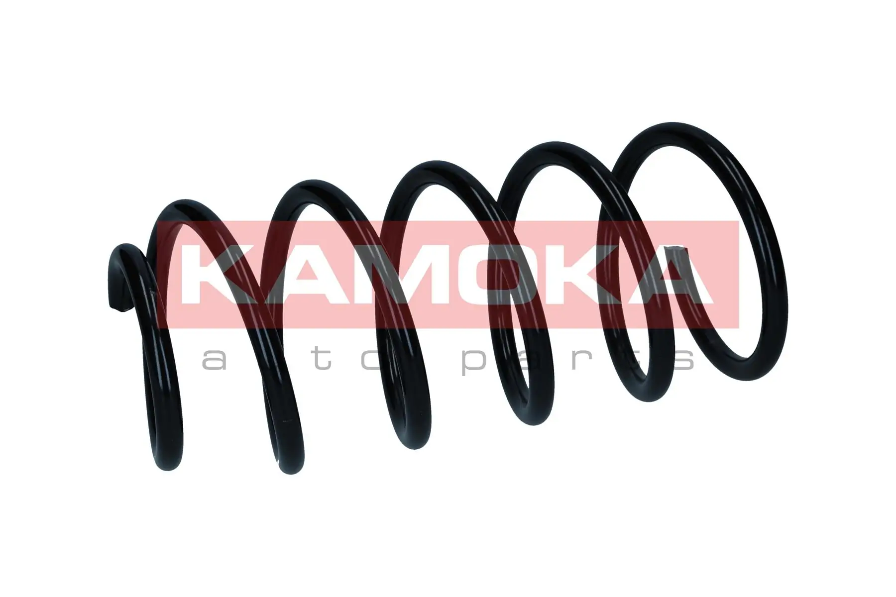 Suspension Spring 2110433