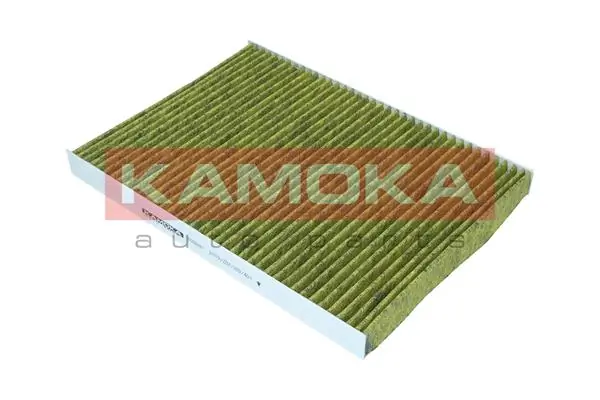 Filter, cabin air 6080081