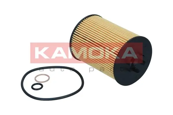 Oil Filter F125801