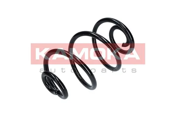 Suspension Spring 2120113