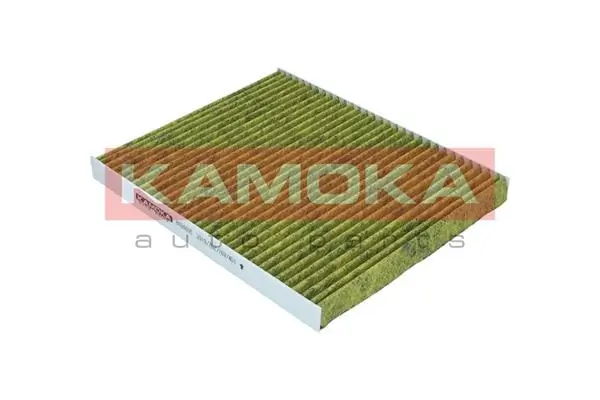 Filter, cabin air 6080095