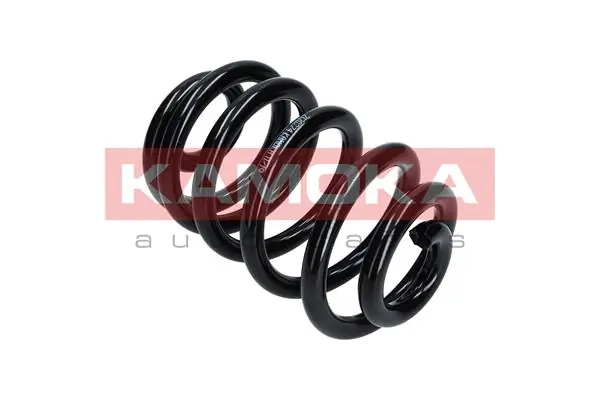 Suspension Spring 2120274