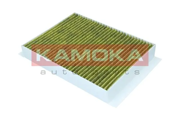 Filter, cabin air 6080154