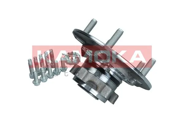 KAMOKA 5500256 Wheel Bearing Kit