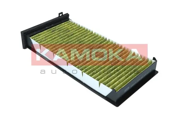 Filter, cabin air 6080018