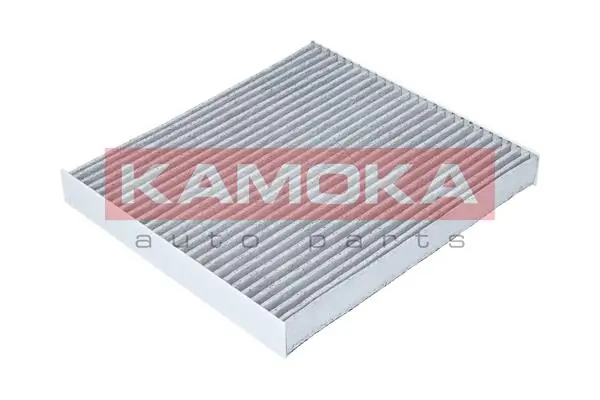 Filter, cabin air F505401