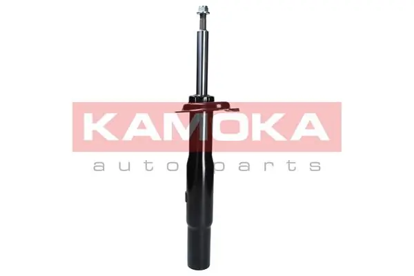 Shock Absorber 2000036