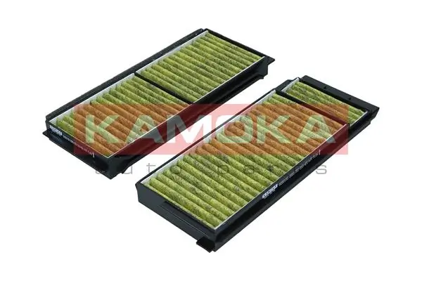 Filter, cabin air 6080062