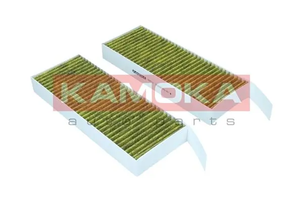 Filter, cabin air 6080112