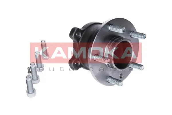 Wheel Bearing Kit 5500144