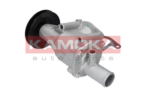 Water Pump, engine cooling T0116