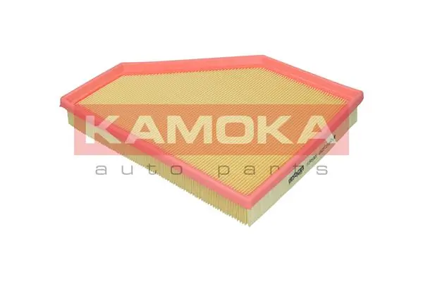 Air Filter F255301