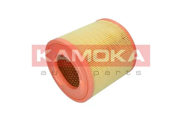 Air Filter F254501