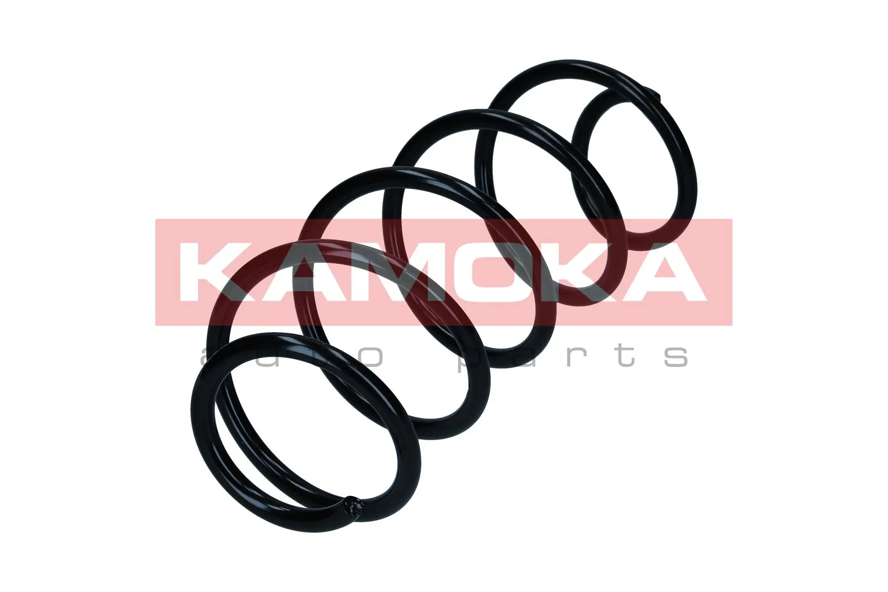 Suspension Spring 2110652