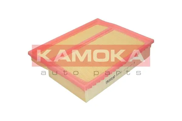 Air Filter F209301