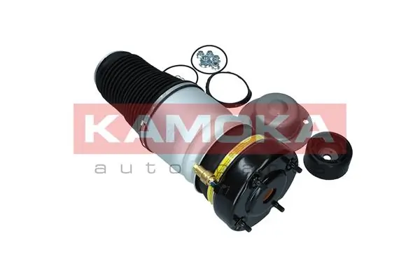 Air Spring, suspension 2079001