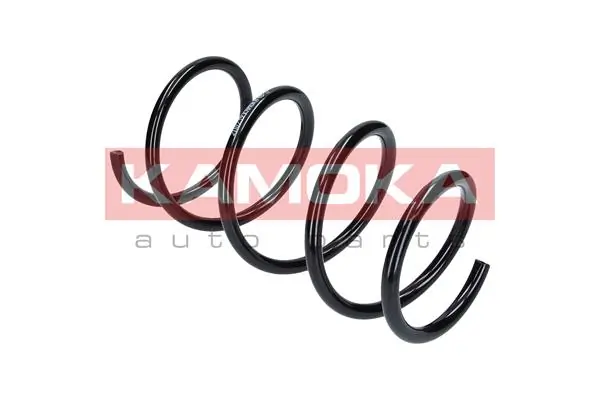 Suspension Spring 2110239