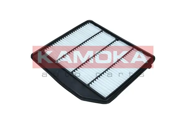 Air Filter F258501