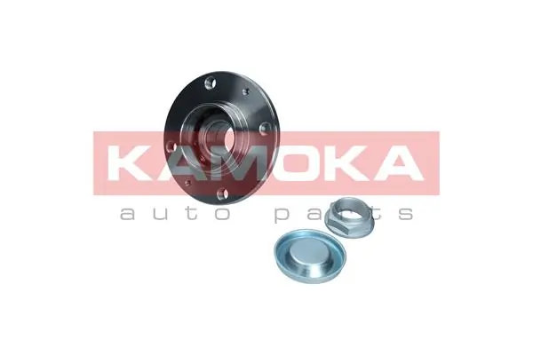 Wheel Bearing Kit 5500043