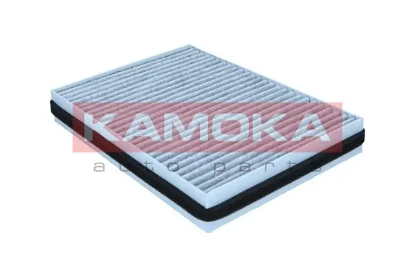 Filter, cabin air F524501