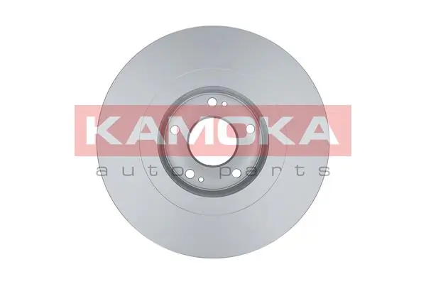 Brake Disc 103265