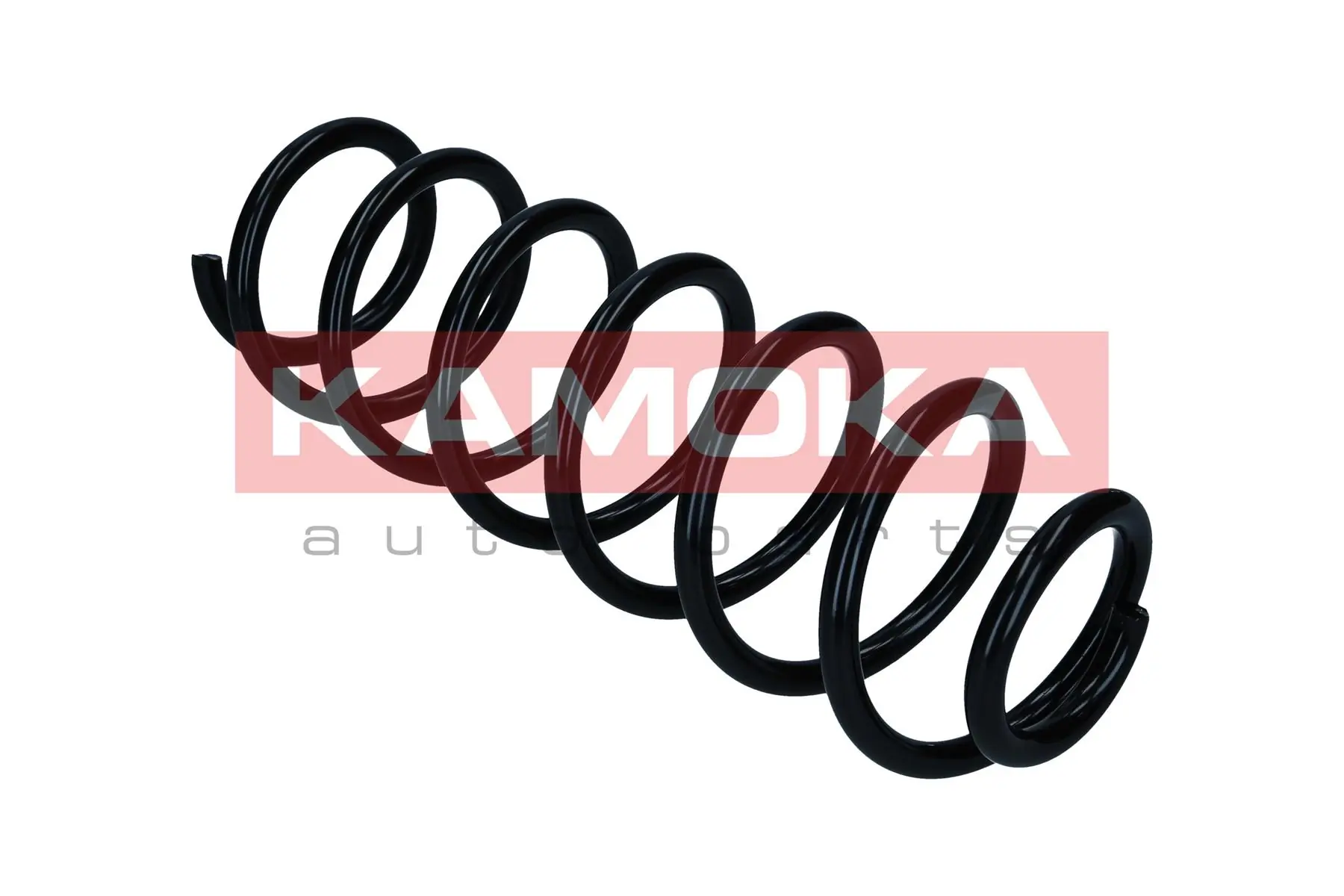 Suspension Spring 2120590