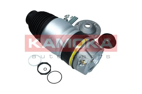 Air Spring, suspension 2079020