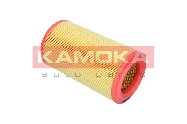 Air Filter F259501