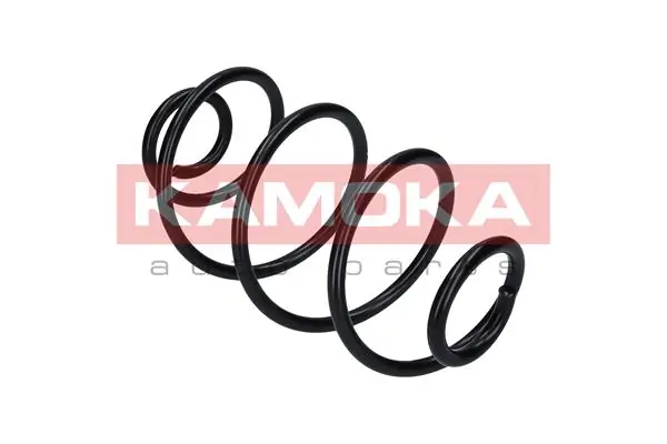 Suspension Spring 2120046